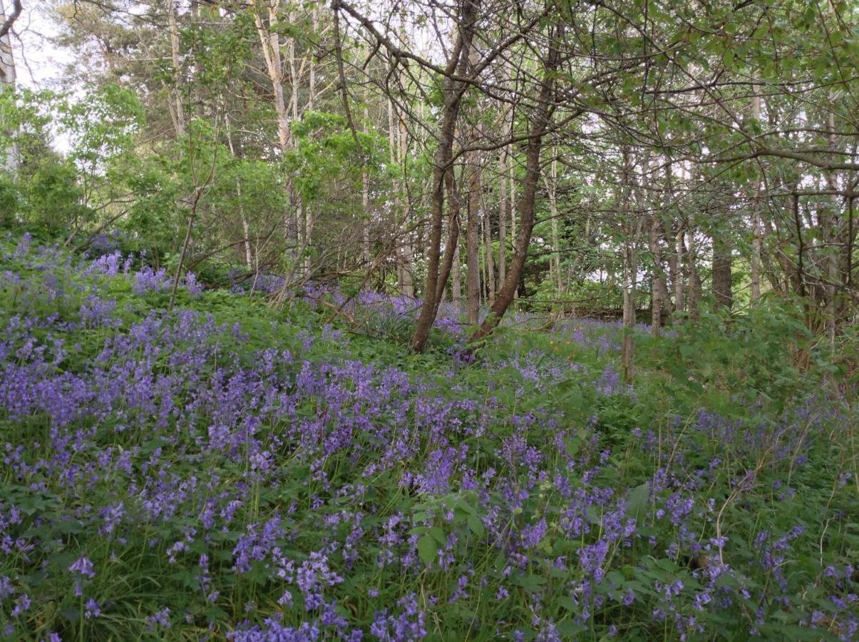 Dower House Newtonmore B&B المظهر الخارجي الصورة